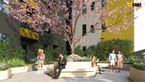 Ghế ngồi ngắm Anh đào